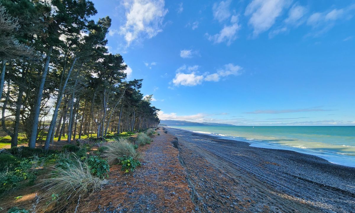 Amberley Beach, Wetlands Walkway to Waipara River Reserve, Canterbury