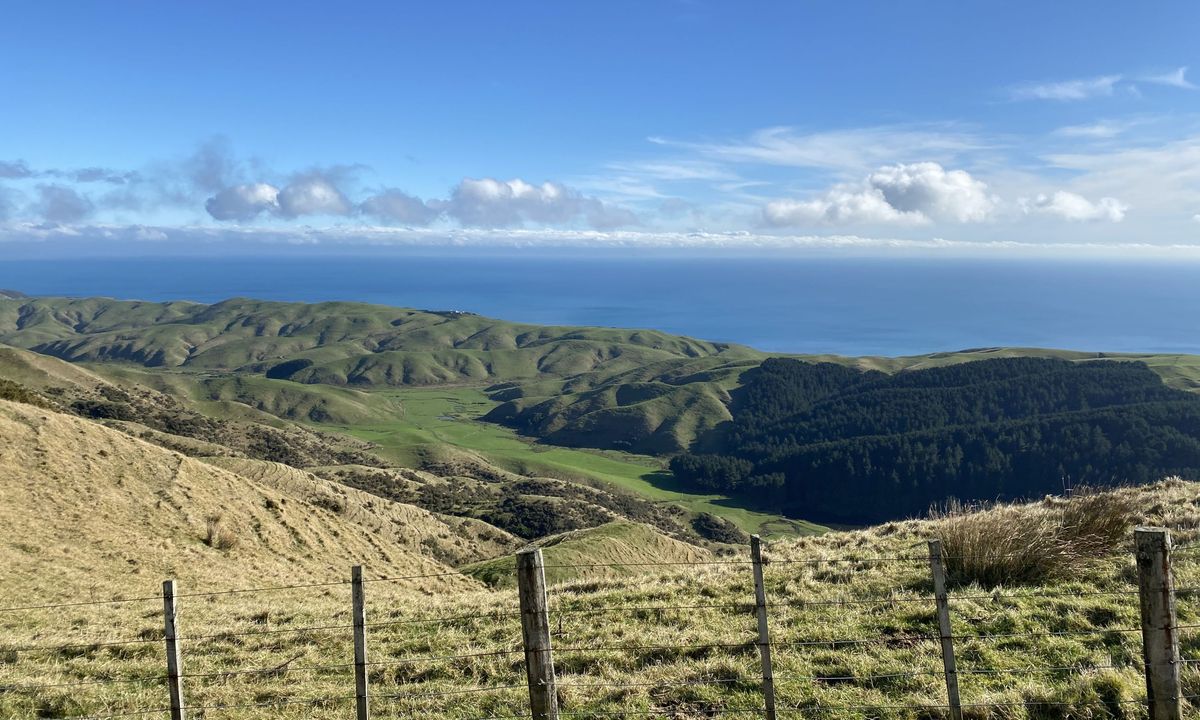 Colonial Knob - All the Hills, Wellington