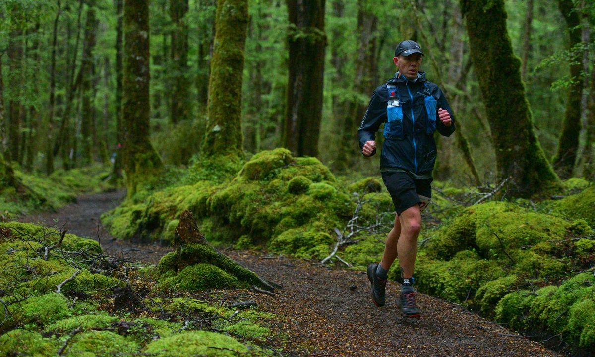 Kepler Track, Southland - Trail Directory - Wild Things