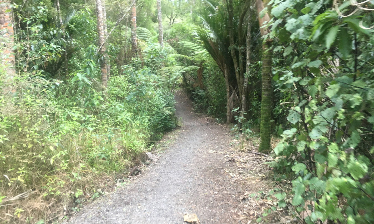 Mangemangeroa Track, Auckland