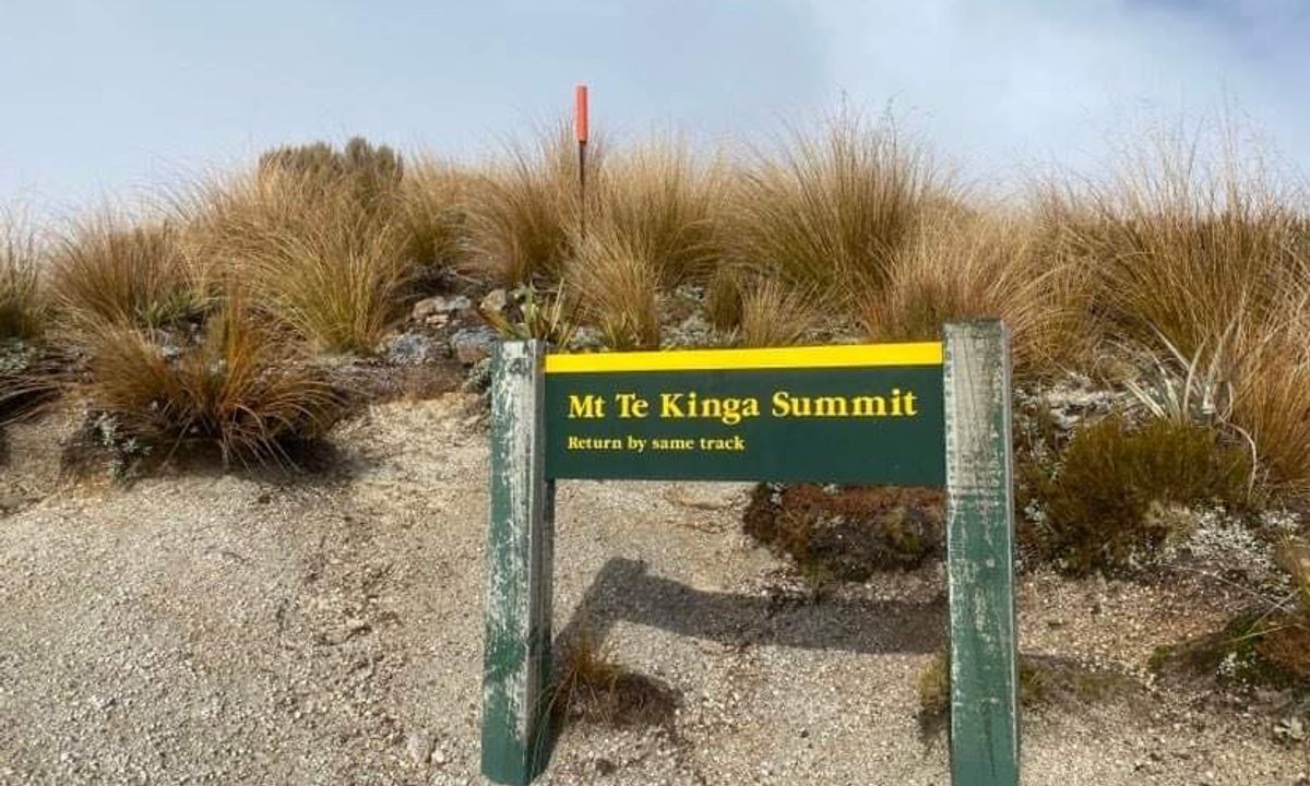 Mount Te Kinga, West Coast