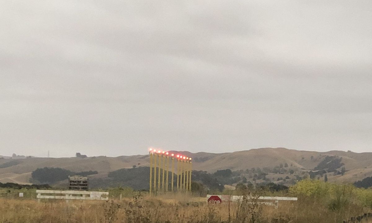 Westshore Flattie, Hawkes Bay