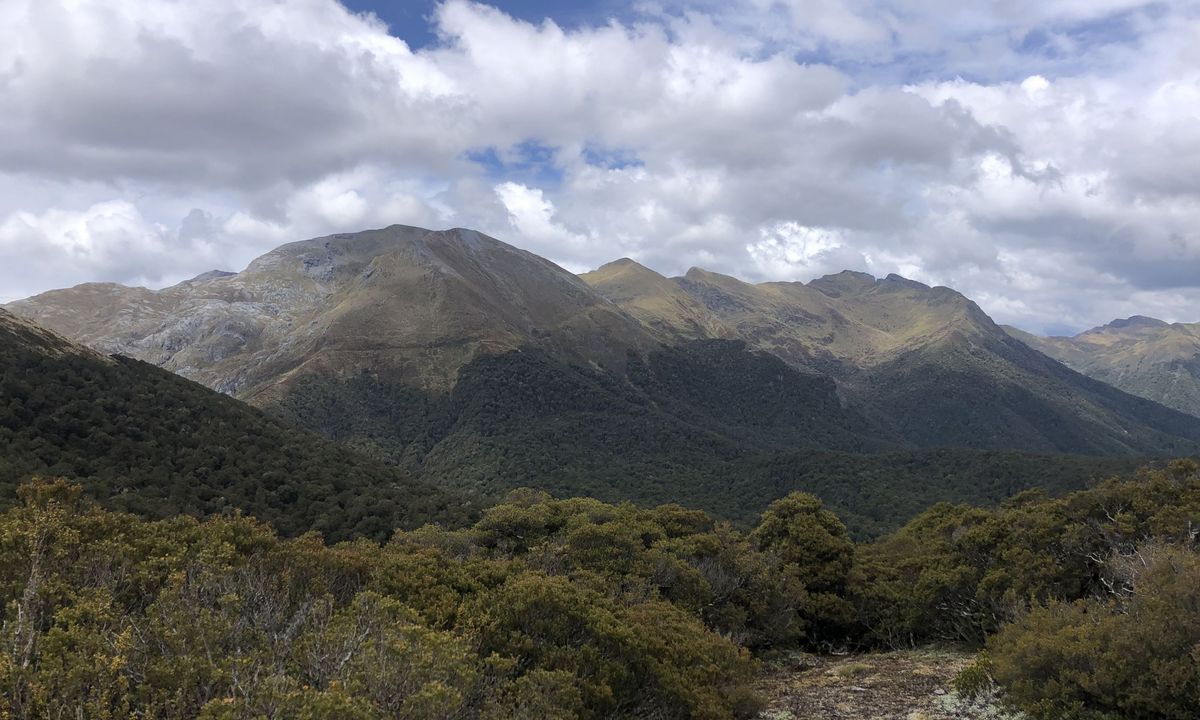 Salisbury over Arthur, Tasman