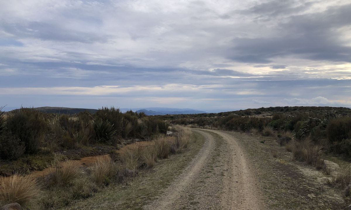 Leith Valley Swampy Circuit, Otago