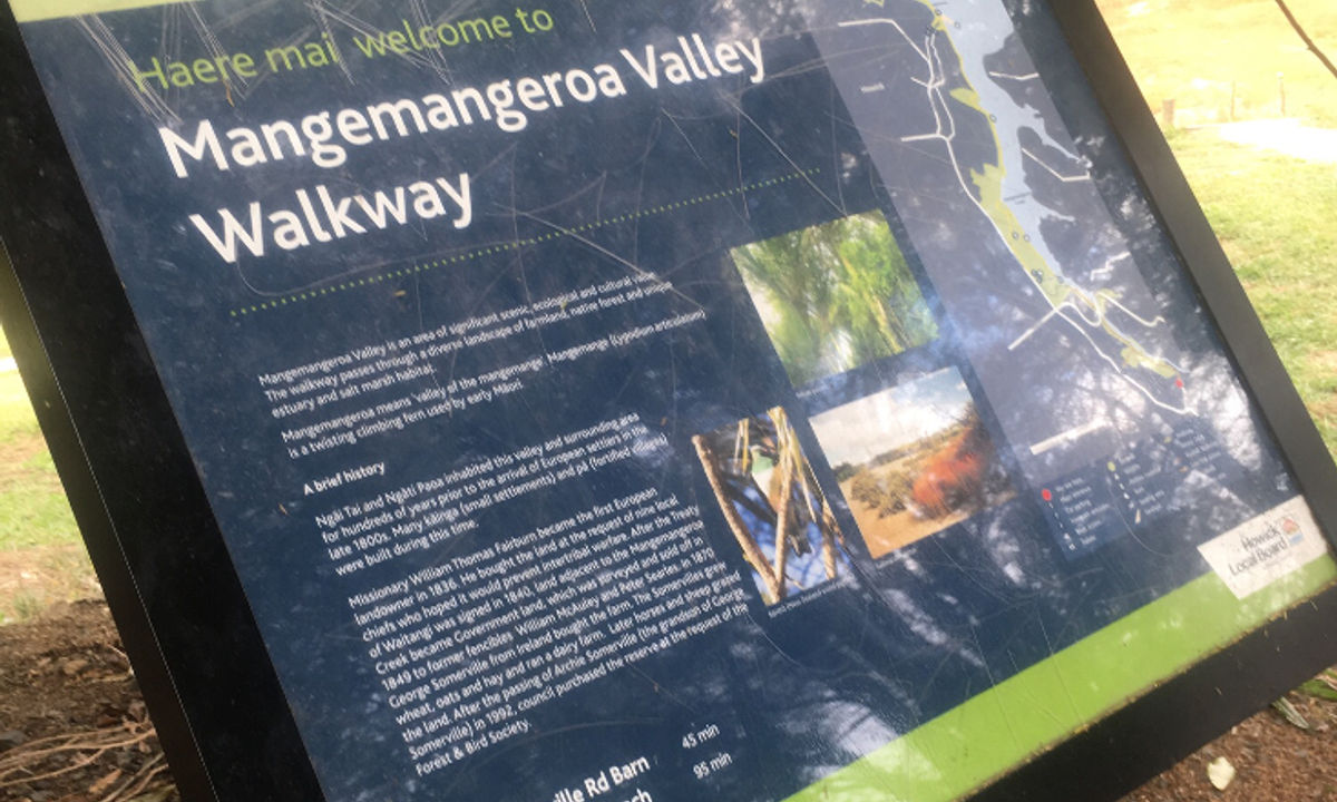 Mangemangeroa Track, Auckland