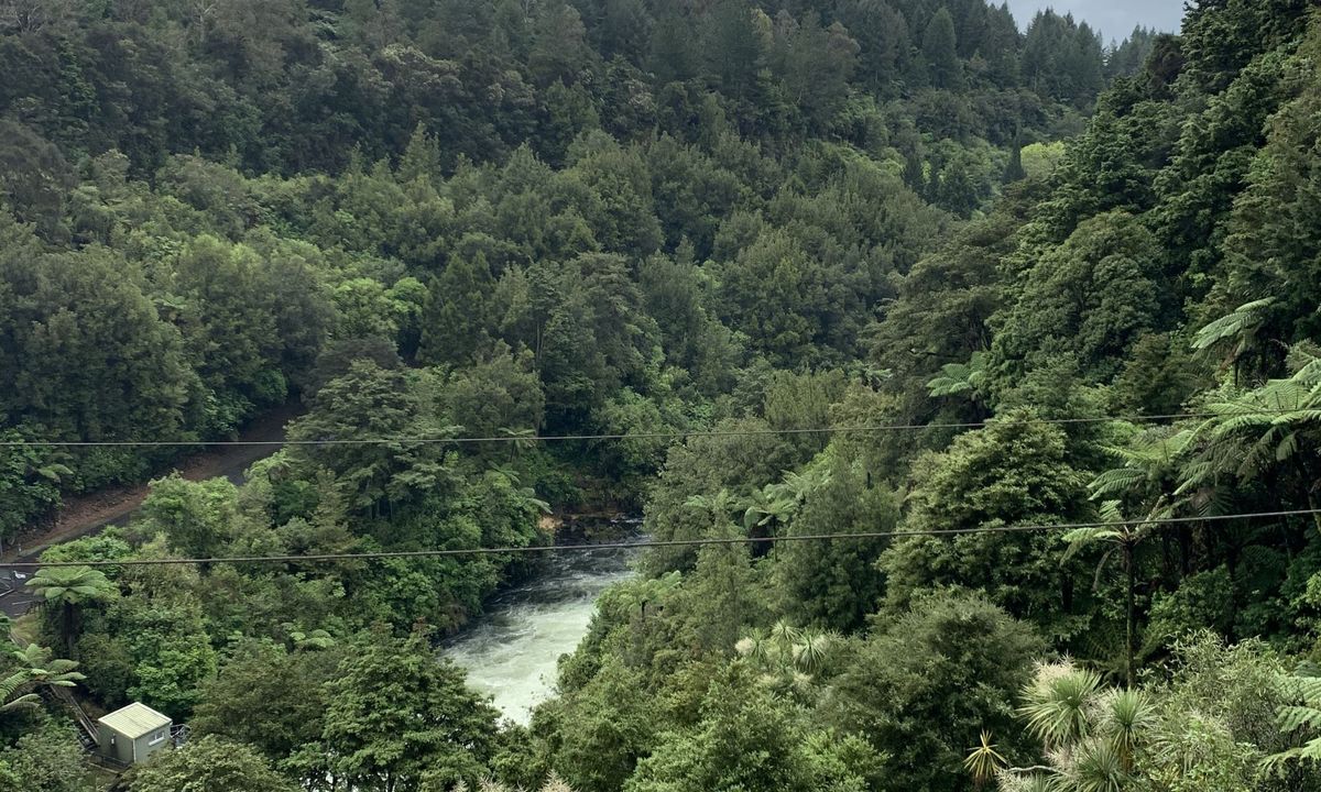 Little Waipa to Arapuni, Waikato