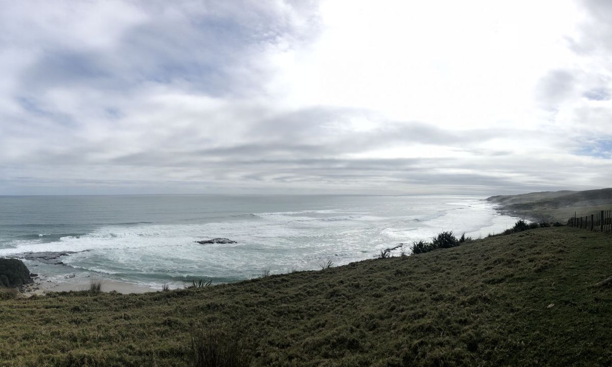 Hokianga Hauler, Northland