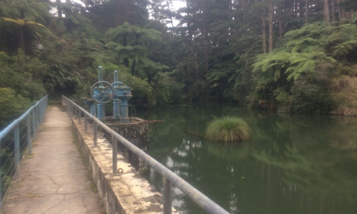 Waitahinga Dam Loop, Manawatu - Wanganui