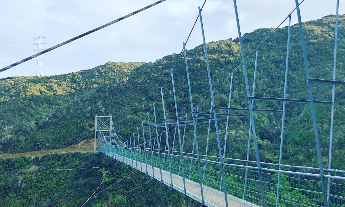 Swing Into Action, Wellington