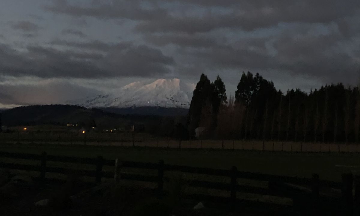 Ohakune Town/Forest Loop, Manawatu - Wanganui