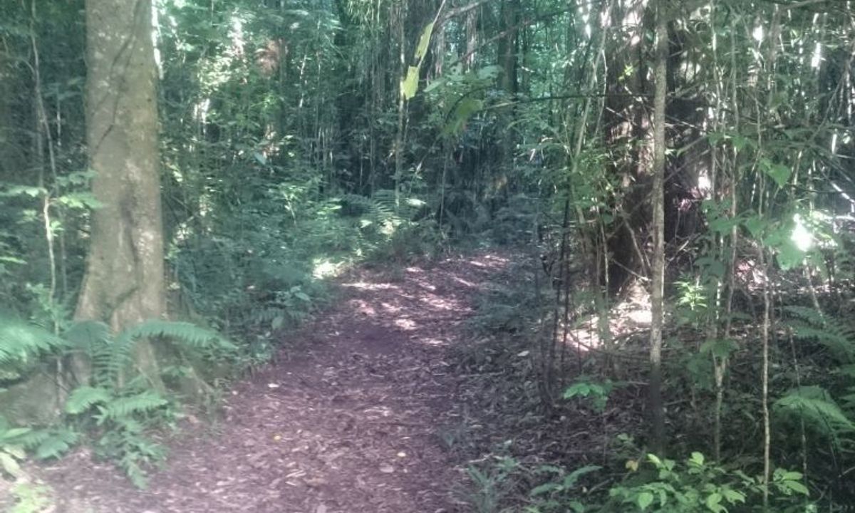 Ninja Stealth Urban Trail, Taranaki