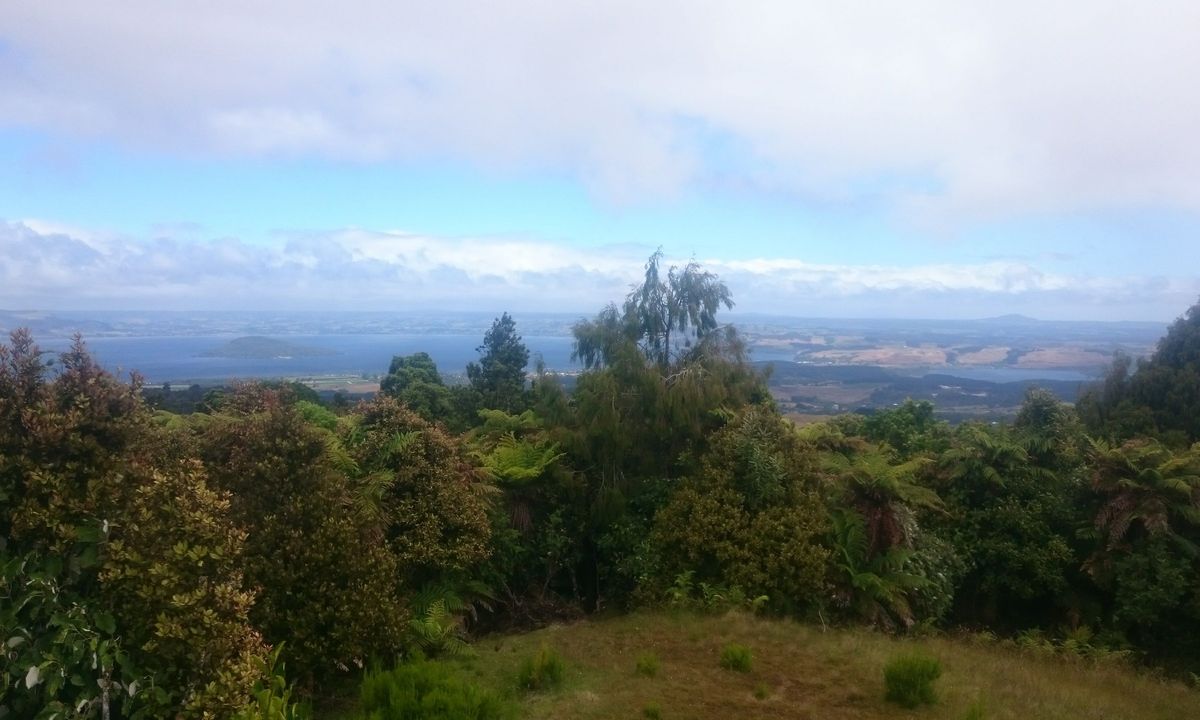 Valley of the Killer Zombie Wallabies, Bay of Plenty
