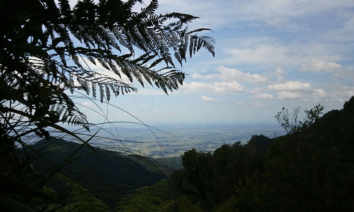 Pirongia Loop of Awesomeness, Waikato