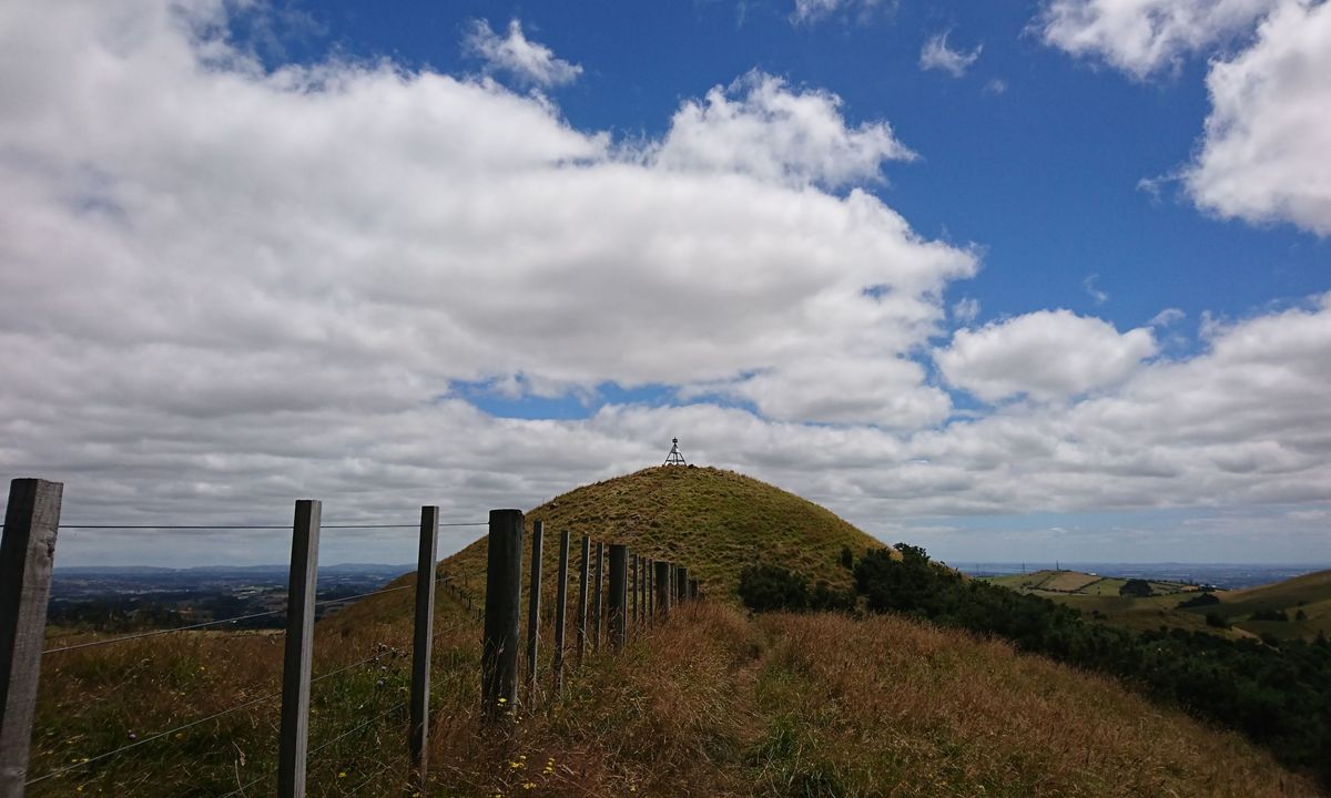 Mt William Wacky Walkway, Auckland