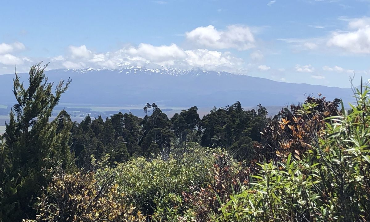 Hihitahi Highpoint, Manawatu - Wanganui