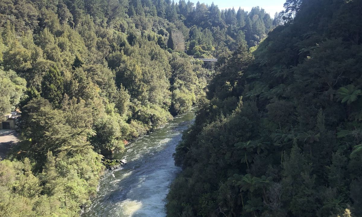 Little Waipa to Arapuni, Waikato