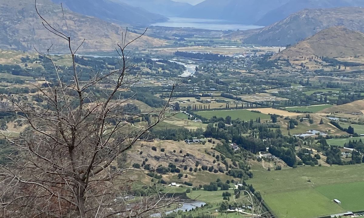 Bush Creek Banger and The Steiger!, Otago