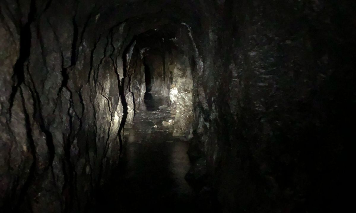 Tartare Tunnel Track, West Coast