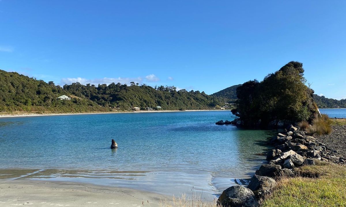 Bragging About Horseshoe Point, Southland