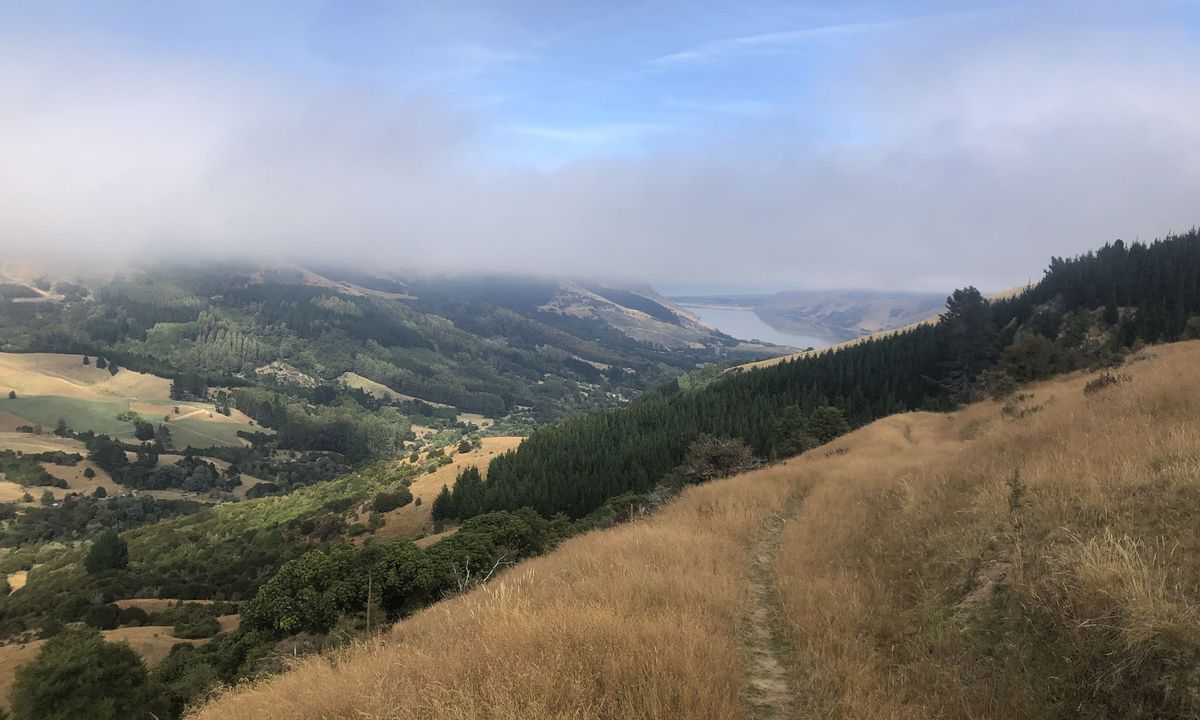 Tumble Down Te Oka, Canterbury