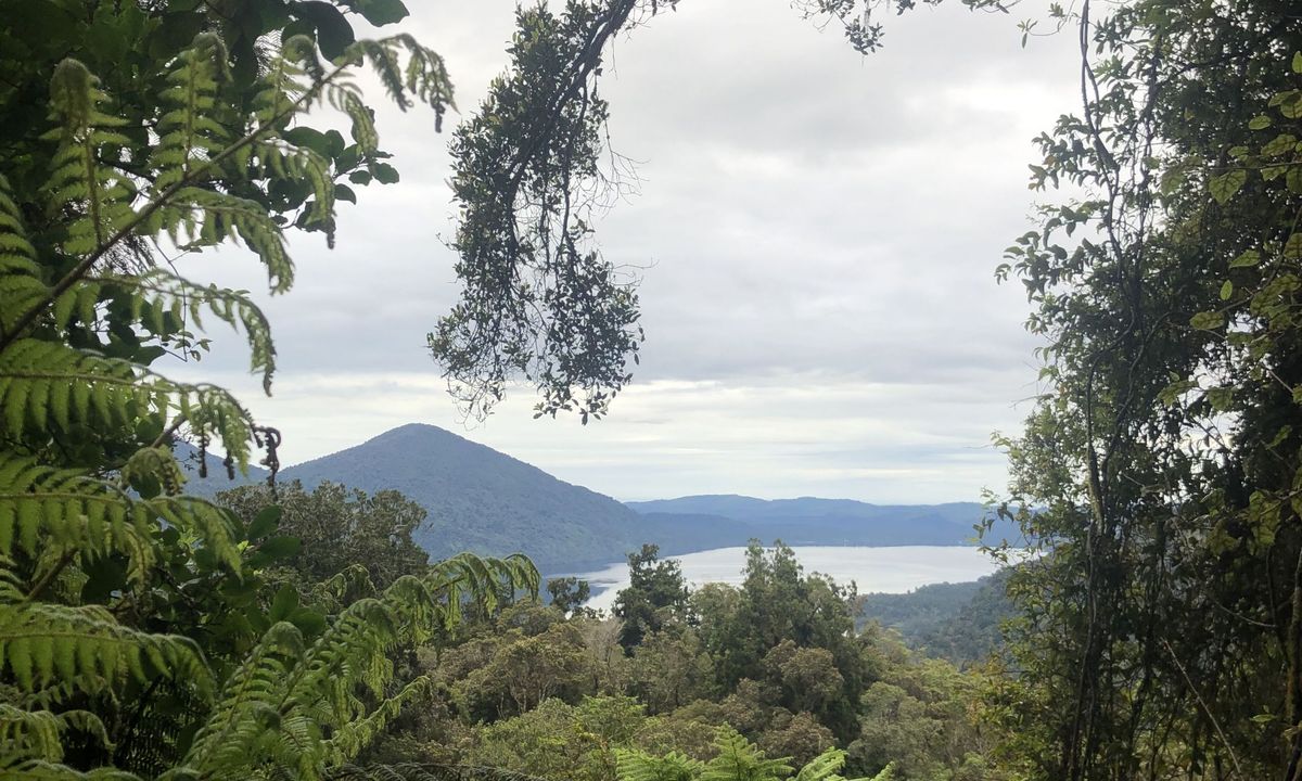 Mt Brown Hut, West Coast
