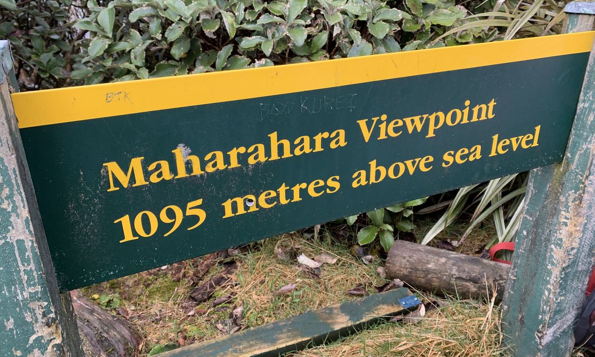 Maharahara