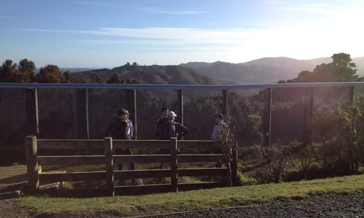 Sanctuary Fenceline, Wellington