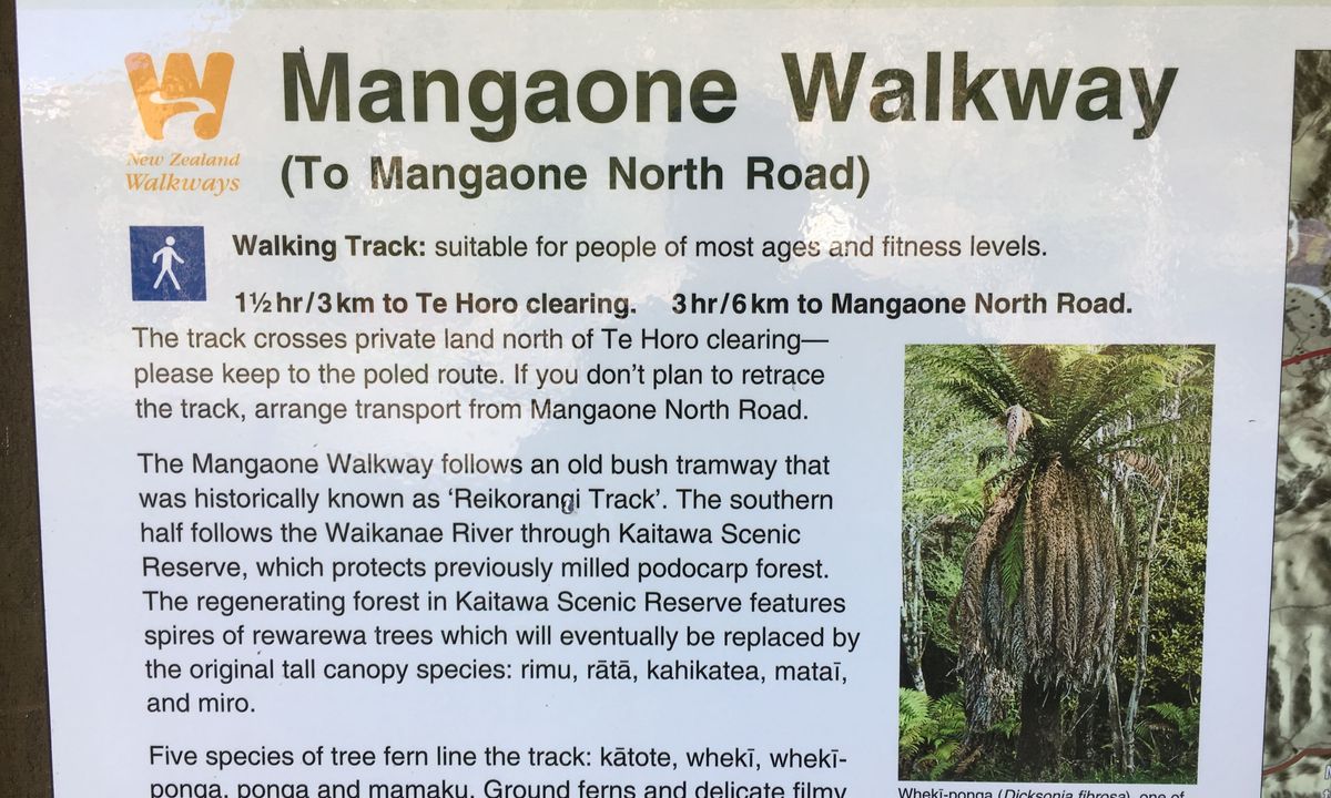 Mangaone Return, Wellington