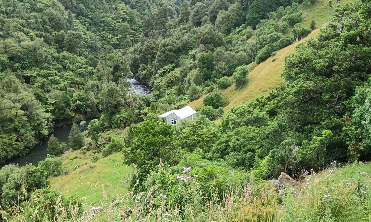 Tawarau River, Waikato