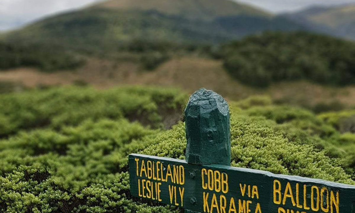Arthur & Gordons, Tasman