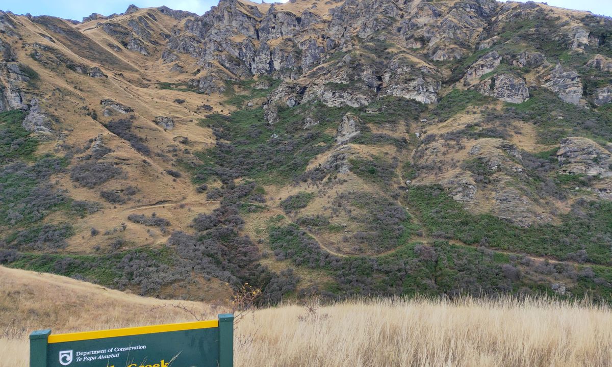 Mt Dewar Devil Creek Loop, Otago
