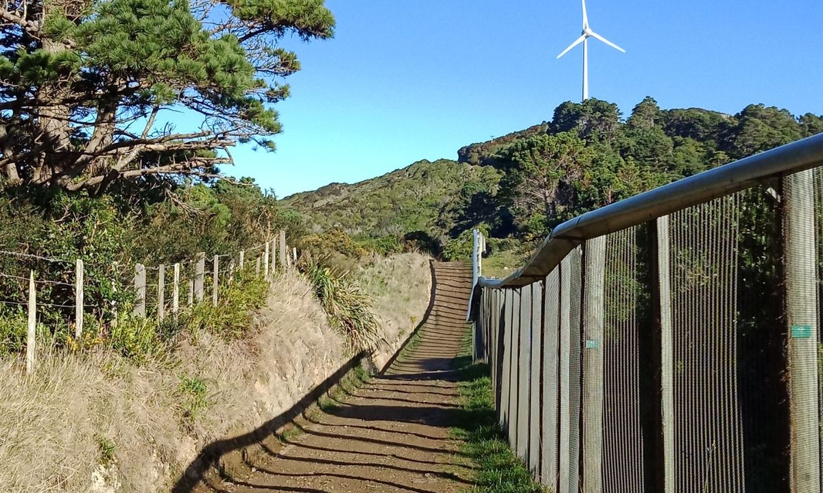 Polhill to Turbine loop, Wellington