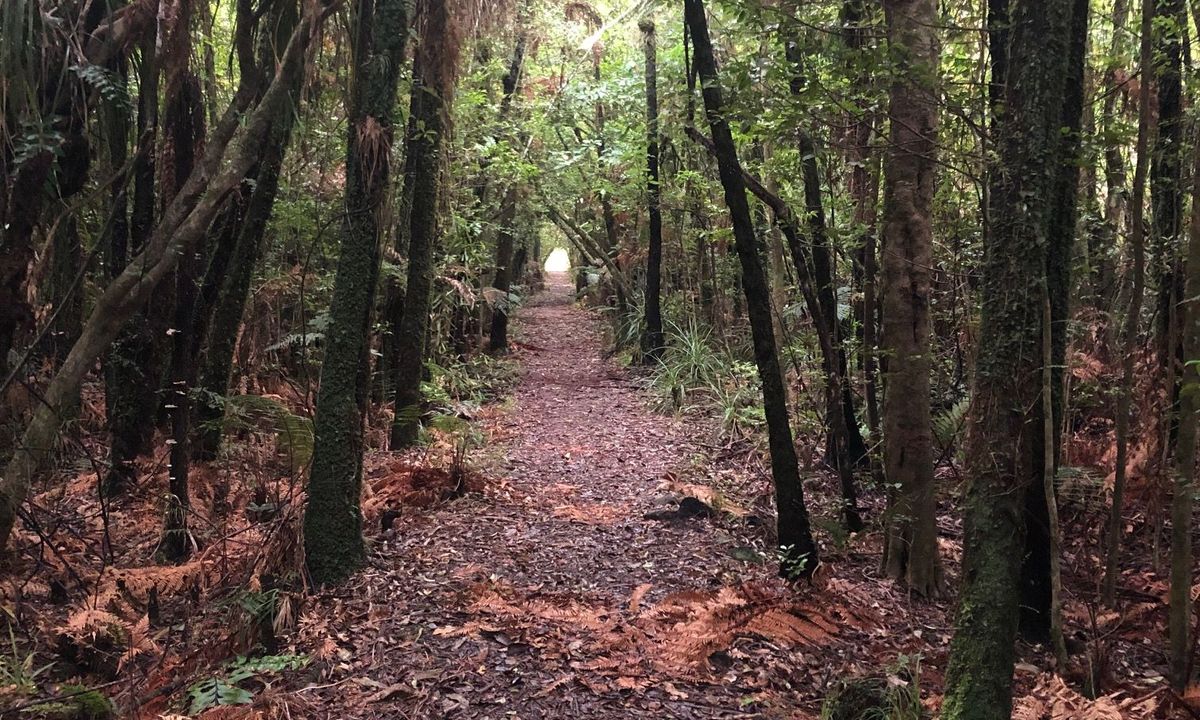 Te Aroha Killer Loop, Waikato