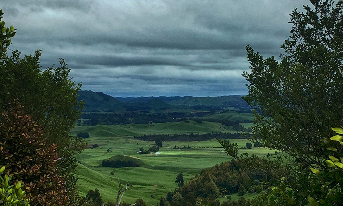 Old Coach Road Ohakune - return trip, Manawatu - Wanganui