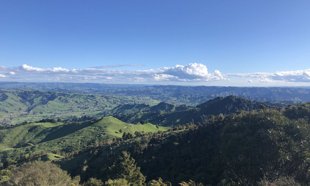 The Other Mt Hikurangi, Manawatu - Wanganui