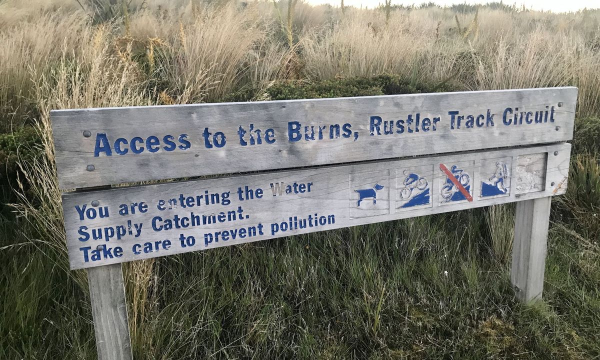 Leith Saddle and Burns Track loop, Otago