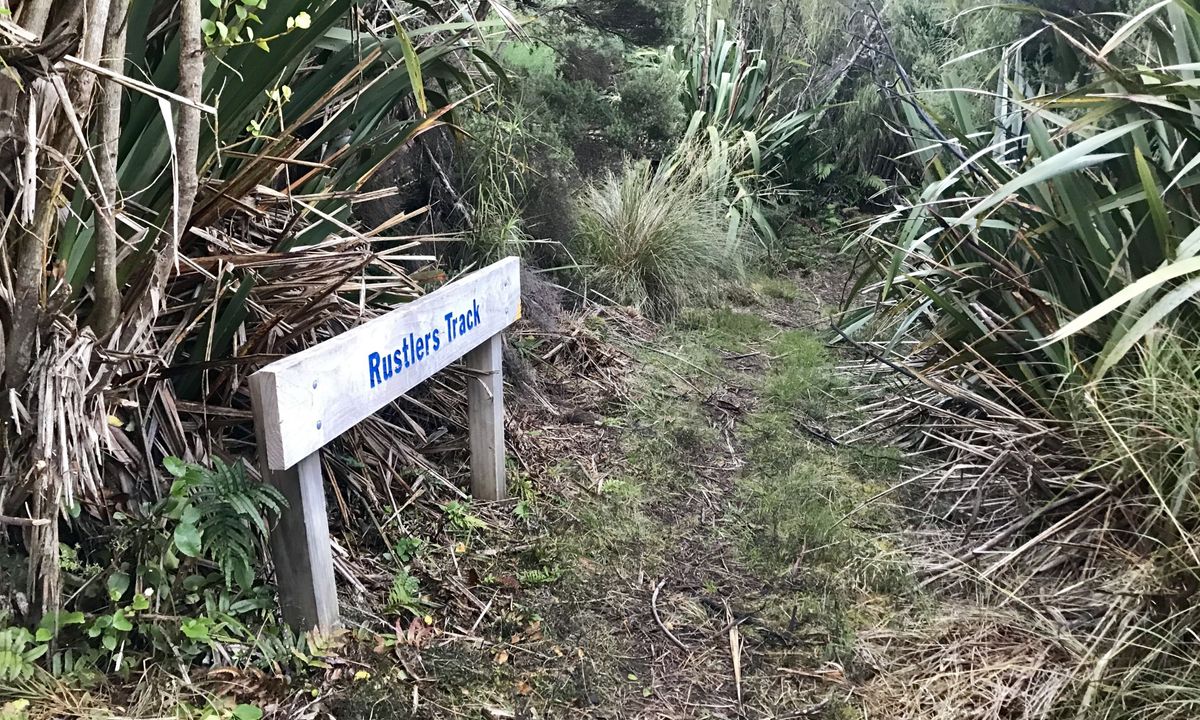 Leith Saddle and Burns Track loop, Otago
