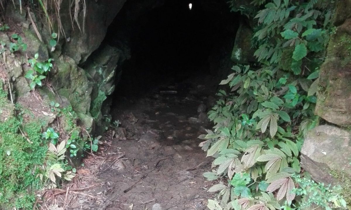 Karangahake Gold, Waikato