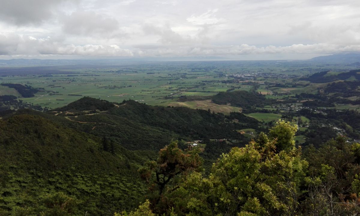 Karangahake Gold, Waikato