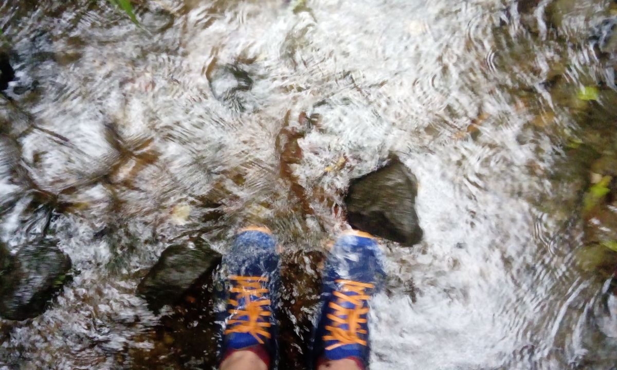 York Trail Wet Foot, Taranaki