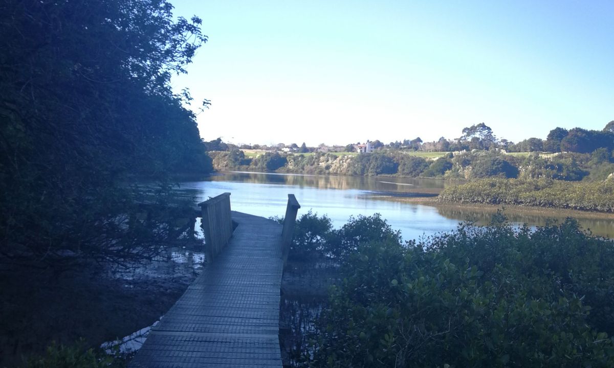 Mangemangeroa Track, Auckland
