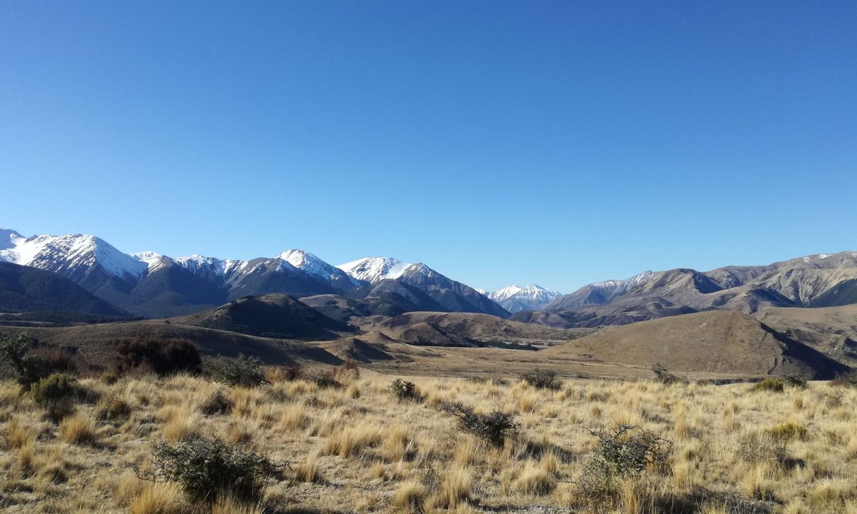 Hogsback Track, Canterbury