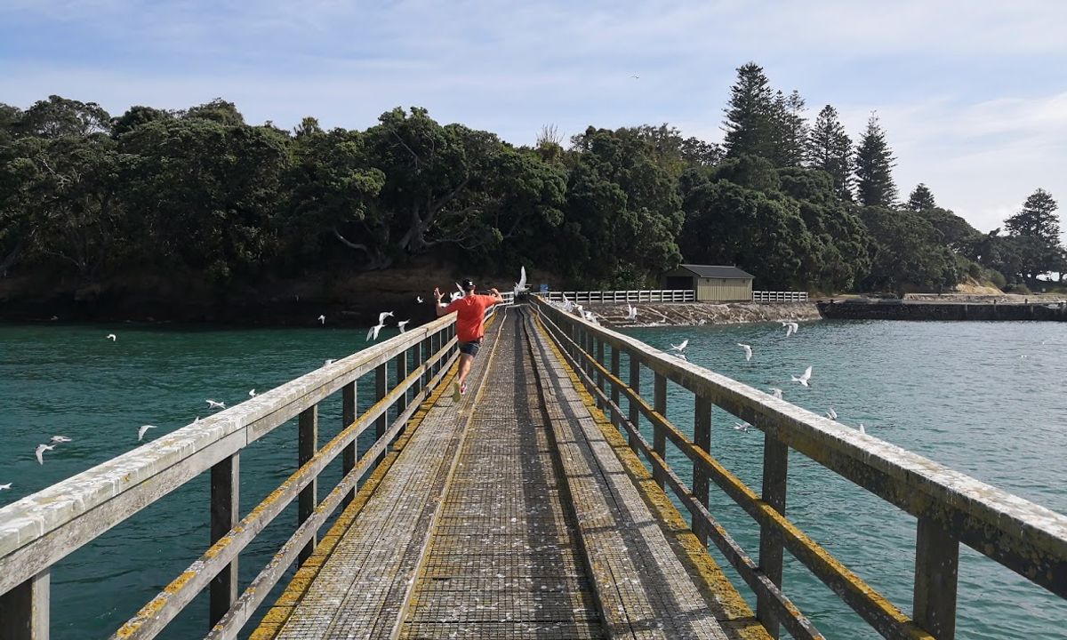 Motuihe Island Loop, Auckland