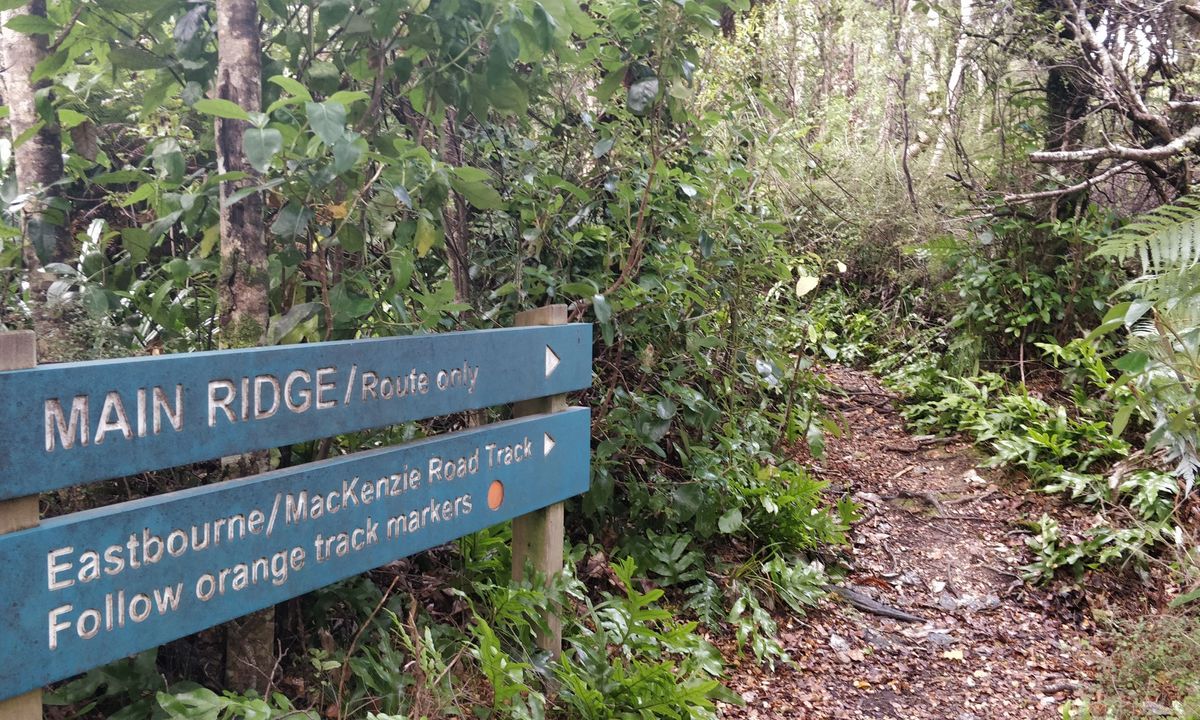Eastbourne Ridge Loop, Wellington