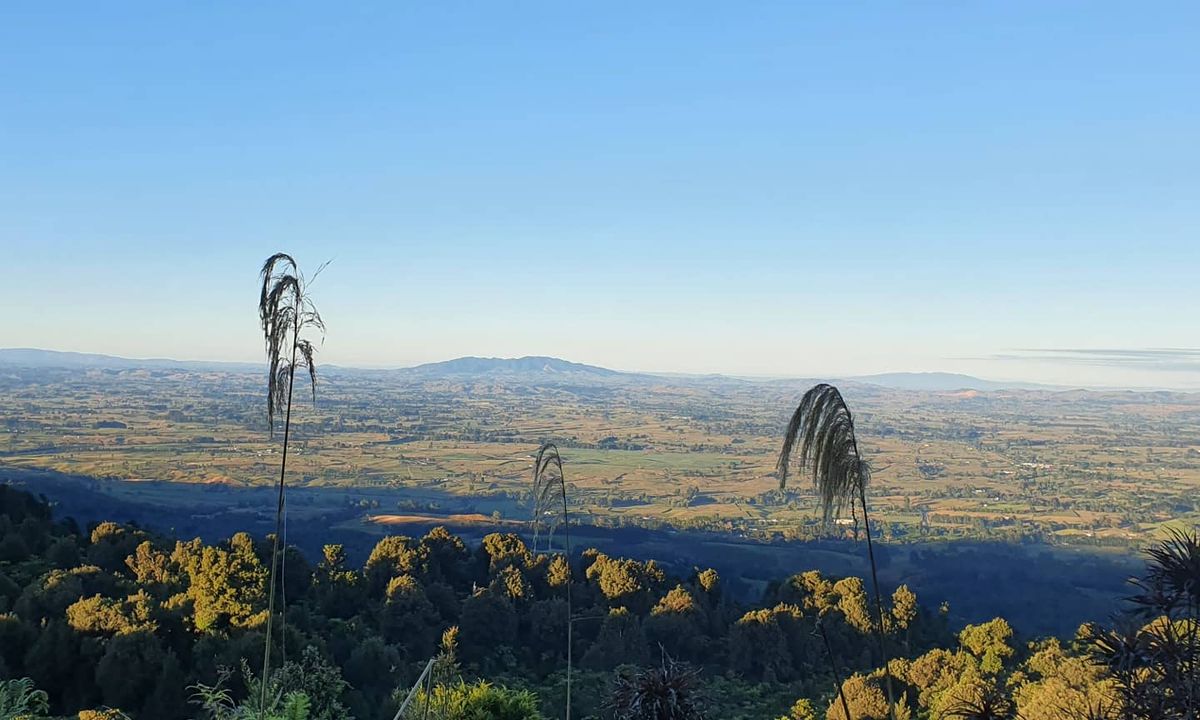 Kaimai South Side To Hurunui Hut, Waikato