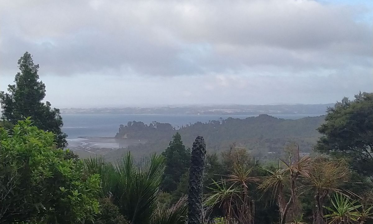 Slip Track from Titirangi, Auckland