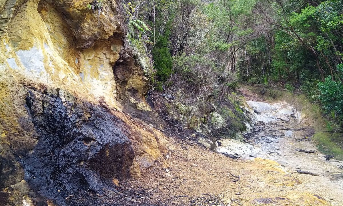 Crosbies Settlement , Waikato