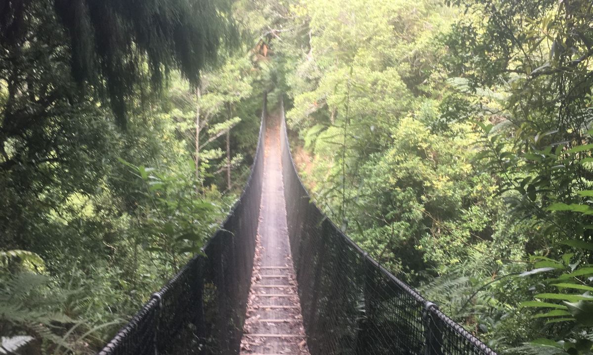 Waiorongomai Valley Adventures, Waikato