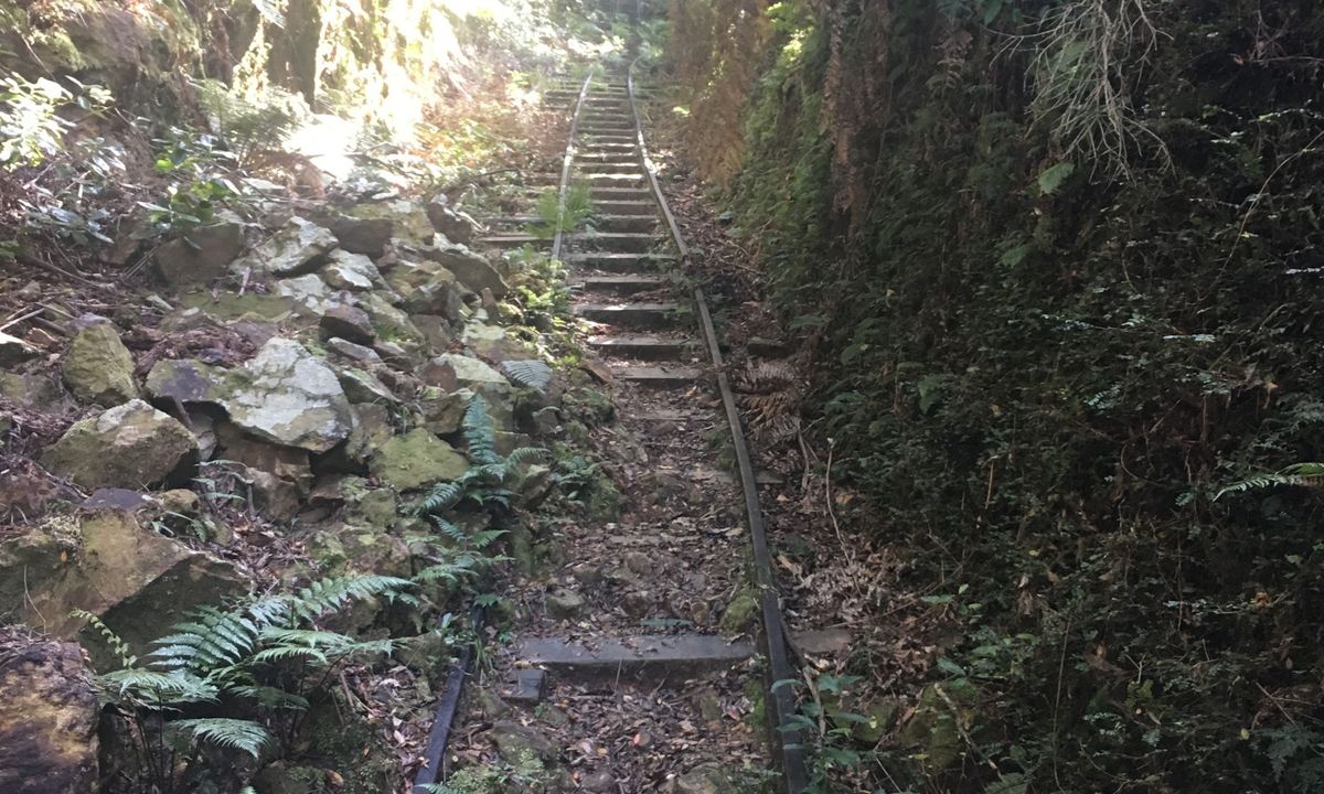 Waiorongomai Valley Adventures, Waikato