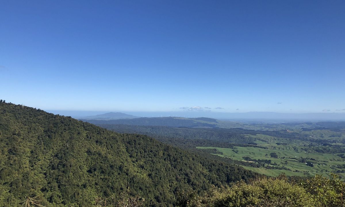 Ruapane Leg Burner, Waikato